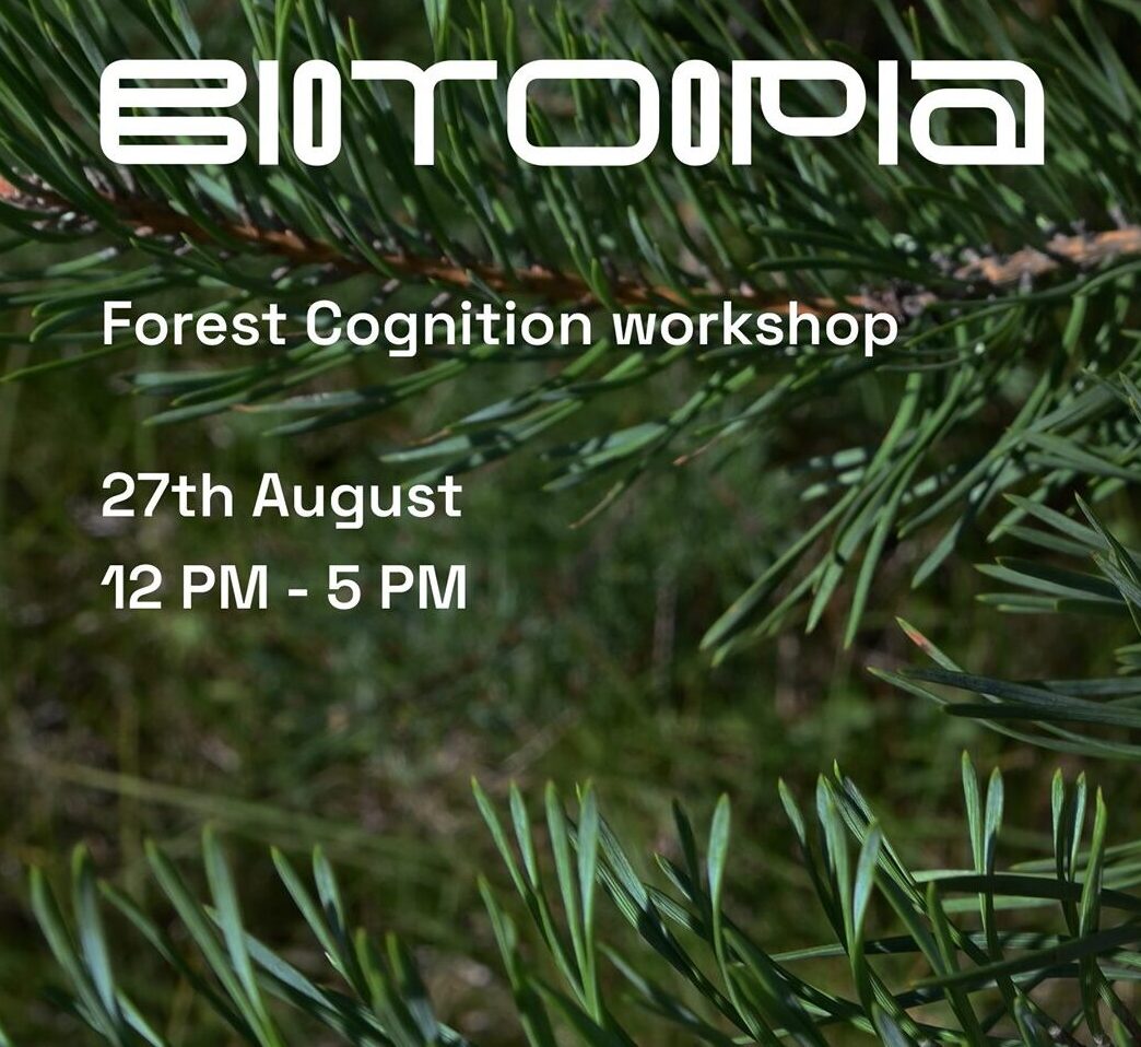 27.08 Forest Cognition workshop